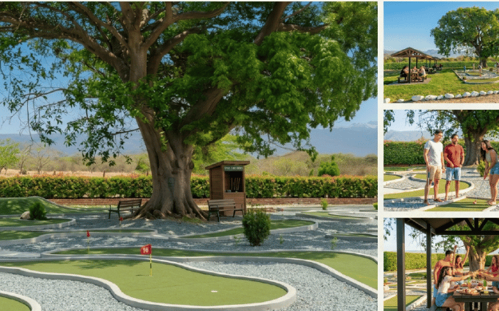 Area de minigolf con árbol centenario y zona de asadores en Bella Vista Ocozocoautla