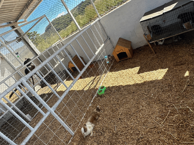Granja Interactiva