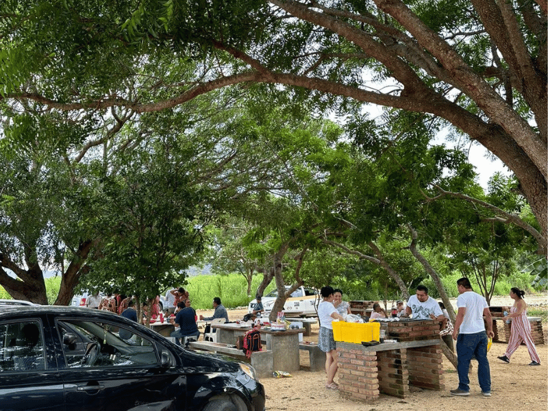 Asadores y fogatas